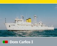 Dom Carlos I